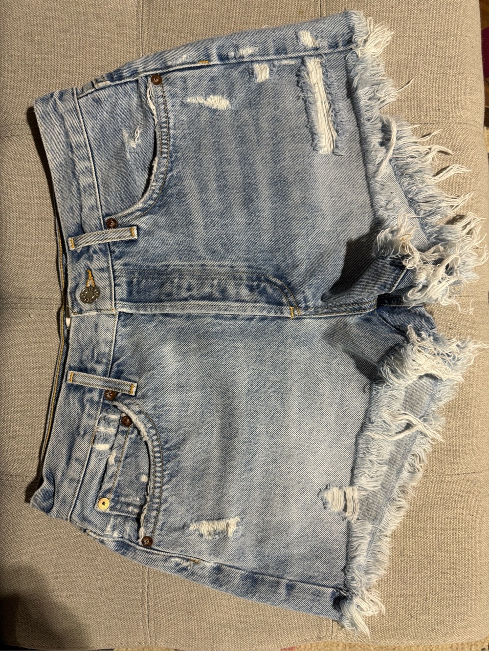 Agolde Parker Shorts